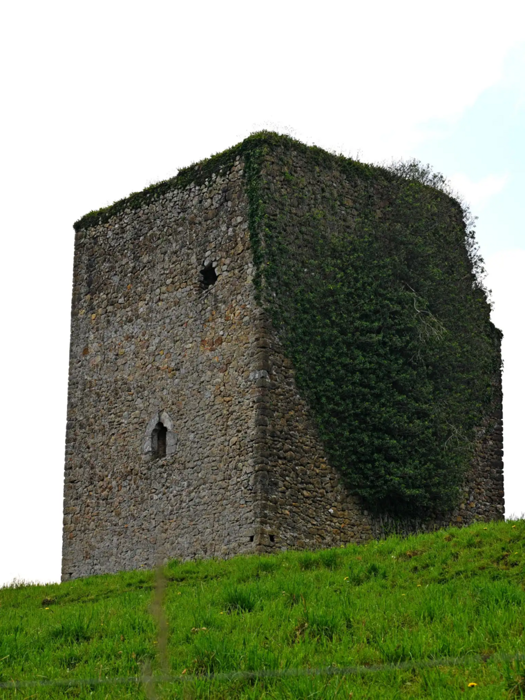 Torre de Quijas