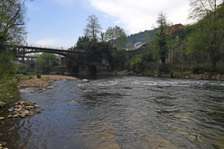 Río Saja